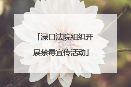 渌口法院组织开展禁毒宣传活动