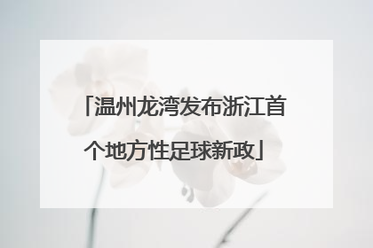 温州龙湾发布浙江首个地方性足球新政