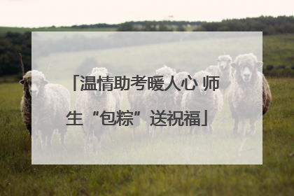 温情助考暖人心 师生“包粽”送祝福