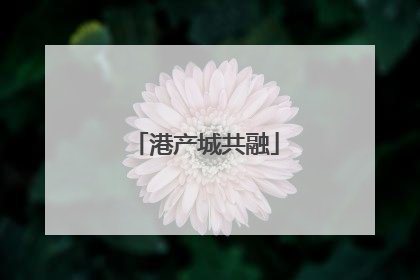 港产城共融