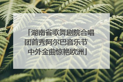 湖南省歌舞剧院合唱团首秀阿尔巴音乐节 中外金曲惊艳欧洲