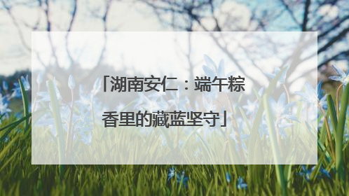 湖南安仁：端午粽香里的藏蓝坚守