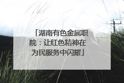 湖南有色金属职院：让红色精神在为民服务中闪耀