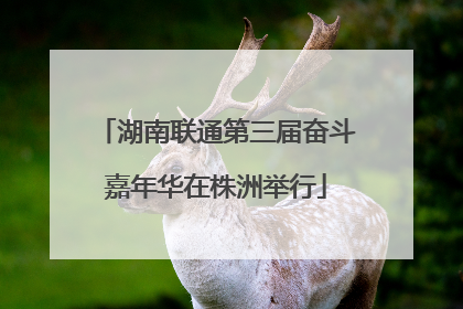 湖南联通第三届奋斗嘉年华在株洲举行