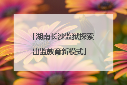 湖南长沙监狱探索出监教育新模式