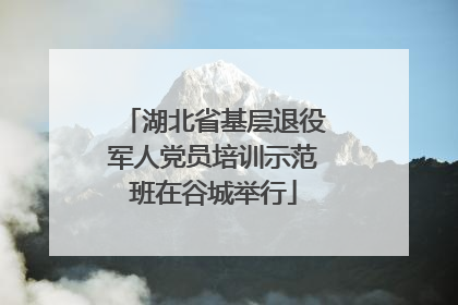 湖北省基层退役军人党员培训示范班在谷城举行