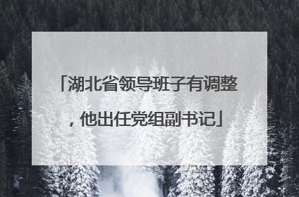 湖北省领导班子有调整，他出任党组副书记