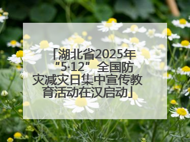 湖北省2025年“5·12”全国防灾减灾日集中宣传教育活动在汉启动