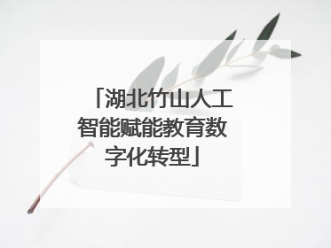湖北竹山人工智能赋能教育数字化转型