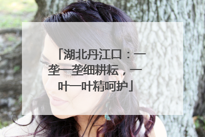 湖北丹江口：一垄一垄细耕耘，一叶一叶精呵护