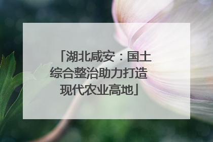 湖北咸安：国土综合整治助力打造现代农业高地
