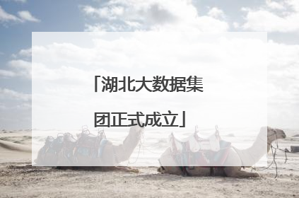 湖北大数据集团正式成立