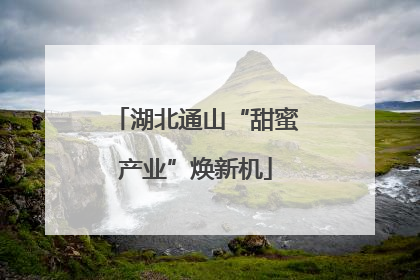 湖北通山“甜蜜产业”焕新机