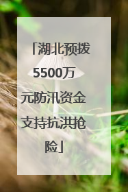 湖北预拨5500万元防汛资金支持抗洪抢险