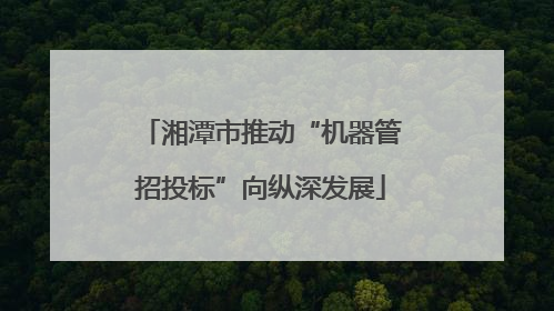 湘潭市推动“机器管招投标”向纵深发展