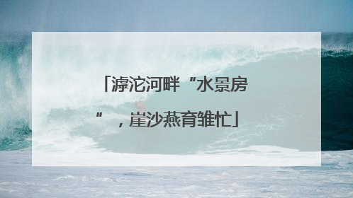 滹沱河畔“水景房”，崖沙燕育雏忙