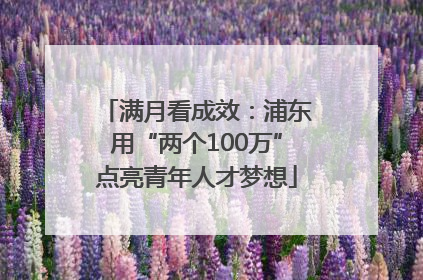 满月看成效：浦东用“两个100万”点亮青年人才梦想