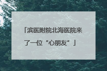 滨医附院北海医院来了一位“心朋友”