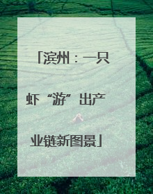 滨州：一只虾“游”出产业链新图景