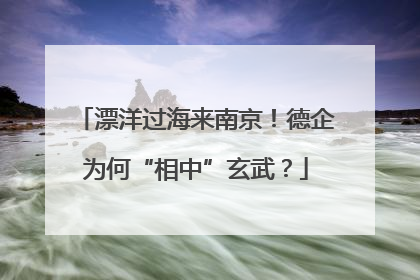 漂洋过海来南京！德企为何“相中”玄武？