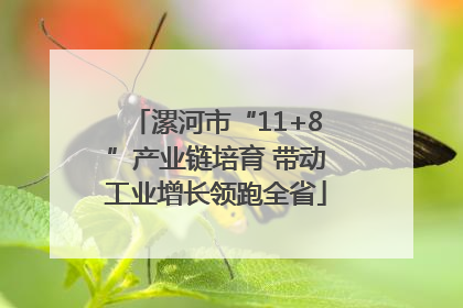漯河市“11+8”产业链培育 带动工业增长领跑全省