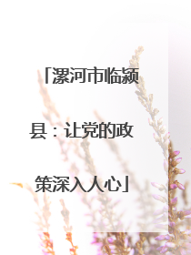 漯河市临颍县：让党的政策深入人心