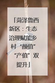 菏泽鲁西新区：生态治理赋能乡村“颜值”“产值”双提升