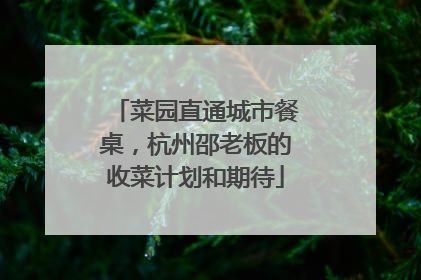 菜园直通城市餐桌，杭州邵老板的收菜计划和期待