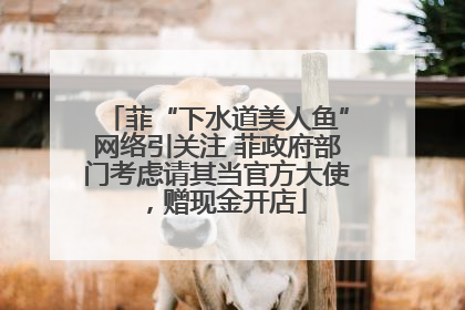 菲“下水道美人鱼”网络引关注 菲政府部门考虑请其当官方大使，赠现金开店