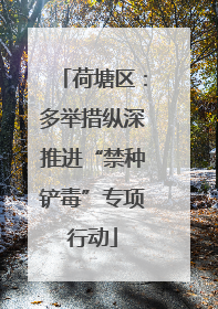 荷塘区：多举措纵深推进“禁种铲毒”专项行动