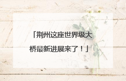 荆州这座世界级大桥最新进展来了！