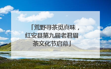 荒野寻茶觅真味，红安县第九届老君眉茶文化节启幕