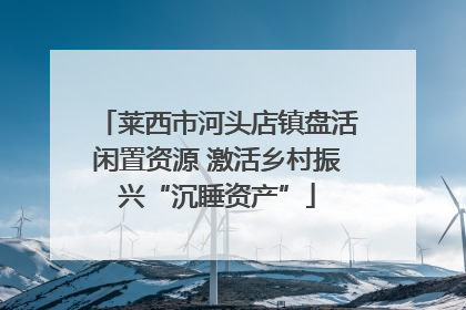 莱西市河头店镇盘活闲置资源 激活乡村振兴“沉睡资产”