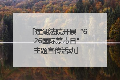 莲湖法院开展“6·26国际禁毒日”主题宣传活动
