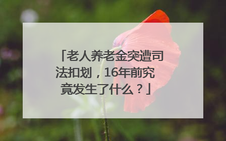 老人养老金突遭司法扣划，16年前究竟发生了什么？