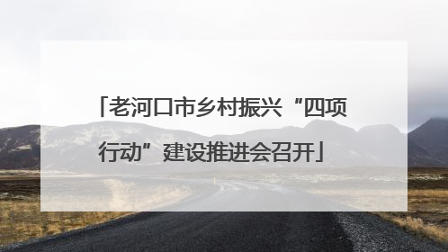 老河口市乡村振兴“四项行动”建设推进会召开
