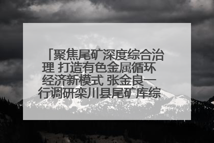 聚焦尾矿深度综合治理 打造有色金属循环经济新模式 张金良一行调研栾川县尾矿库综合治理工作