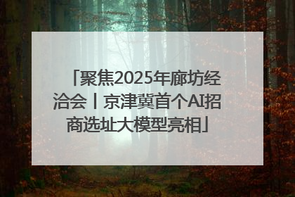 聚焦2025年廊坊经洽会丨京津冀首个AI招商选址大模型亮相