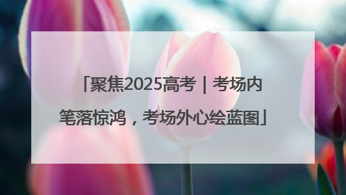 聚焦2025高考｜考场内笔落惊鸿，考场外心绘蓝图