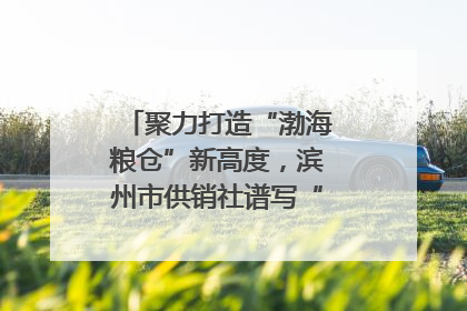 聚力打造“渤海粮仓”新高度，滨州市供销社谱写“三夏”丰收乐章