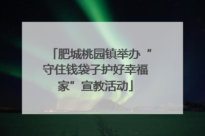 肥城桃园镇举办“守住钱袋子护好幸福家”宣教活动