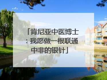 肯尼亚中医博士：我愿做一根联通中非的银针