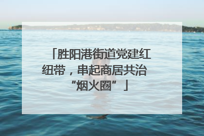 胜阳港街道党建红纽带，串起商居共治 “烟火圈”