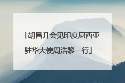 胡昌升会见印度尼西亚驻华大使周浩黎一行