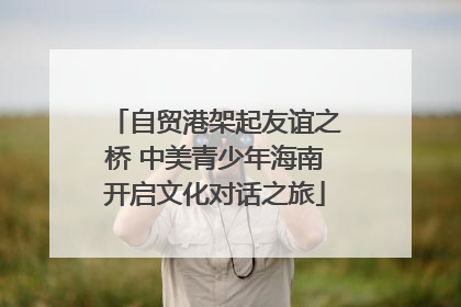 自贸港架起友谊之桥 中美青少年海南开启文化对话之旅