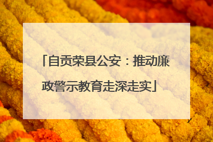 自贡荣县公安：推动廉政警示教育走深走实