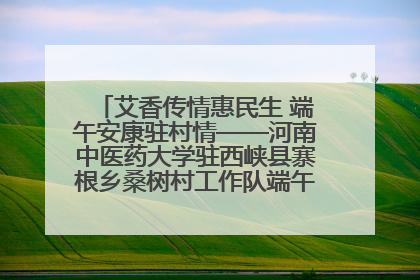 艾香传情惠民生 端午安康驻村情——河南中医药大学驻西峡县寨根乡桑树村工作队端午中医惠民记