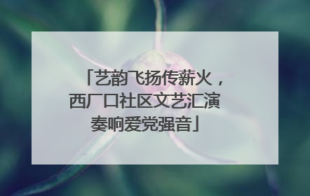 艺韵飞扬传薪火，西厂口社区文艺汇演奏响爱党强音