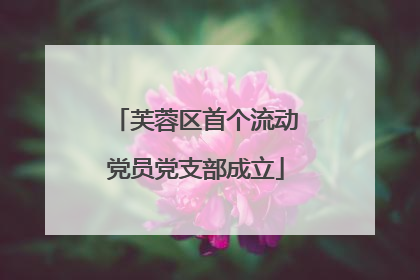 芙蓉区首个流动党员党支部成立