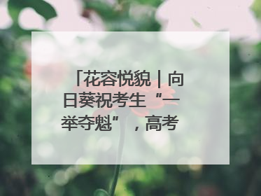 花容悦貌｜向日葵祝考生“一举夺魁”，高考带动鲜花热潮